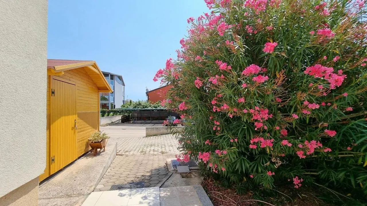 Mark Novigrad  Apartment Novigrad (Istria)